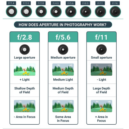 1.000+ Free Photography Technique Notes