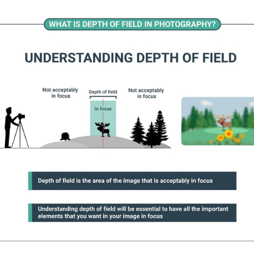 1.000+ Free Photography Technique Notes